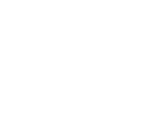 The Stage Logo