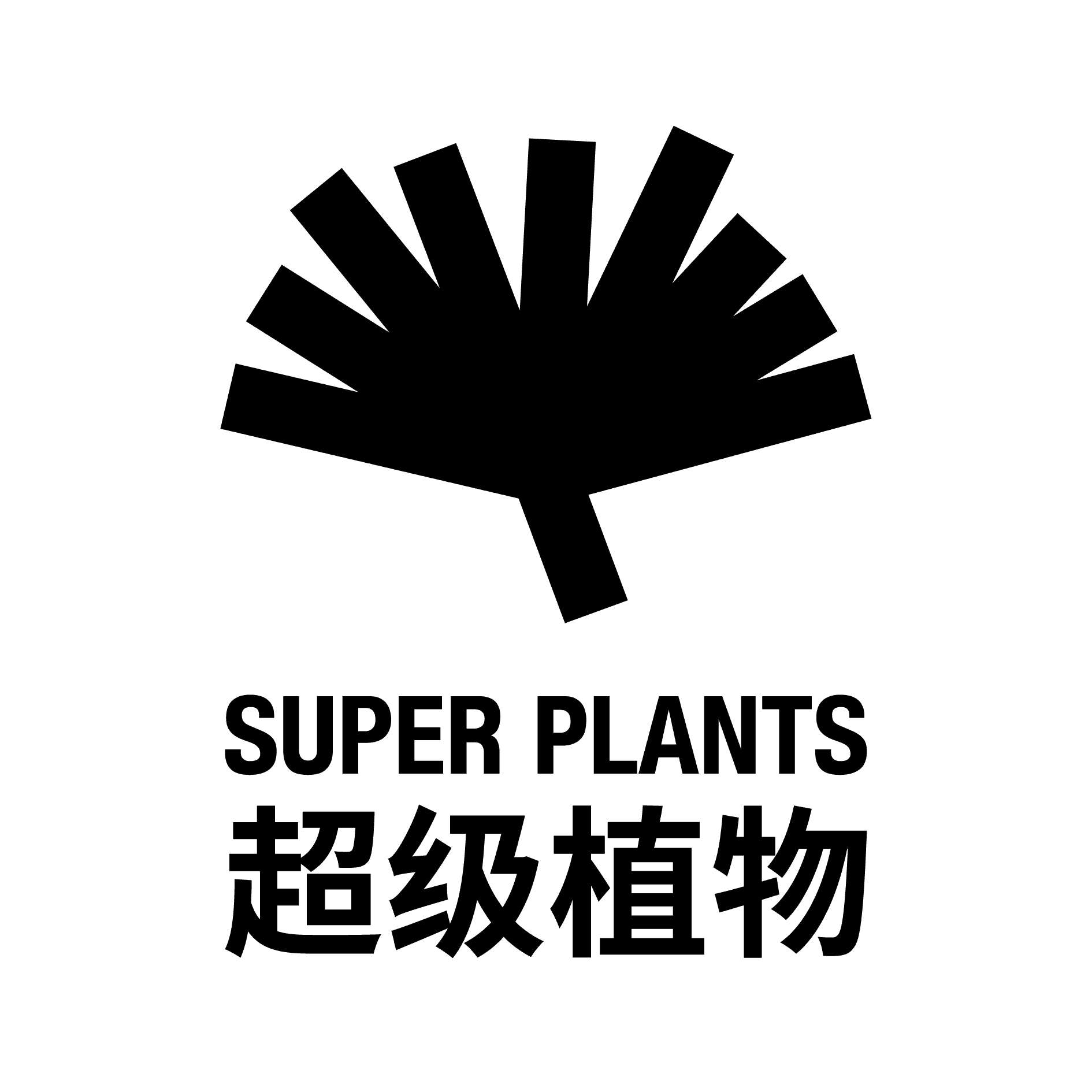 logo15.png