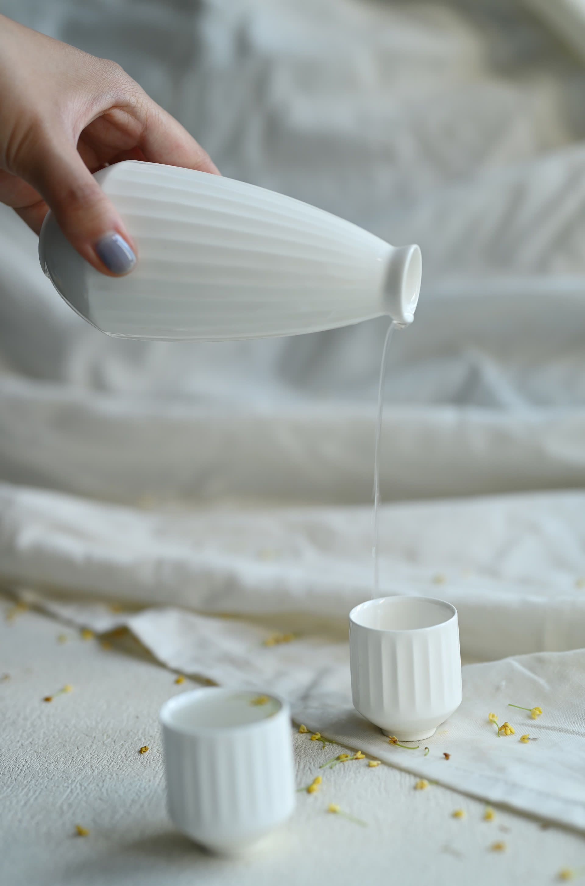 Home & Daily Necessities